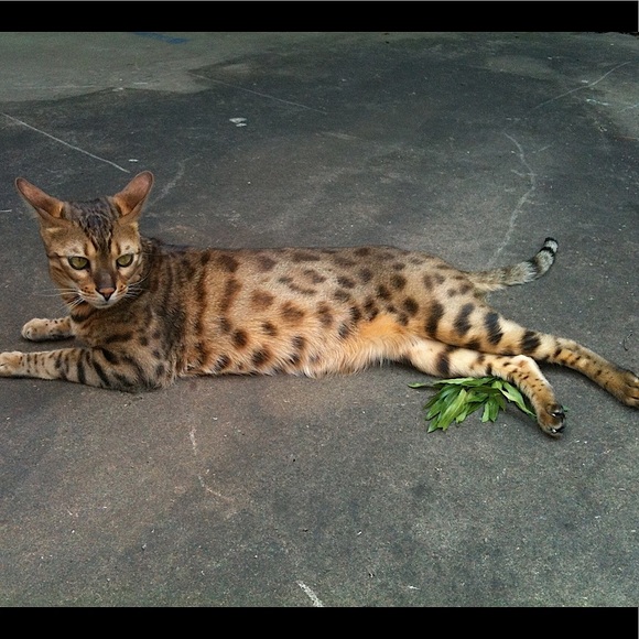 Hi, I’m Karen! - Picture 6 of 9